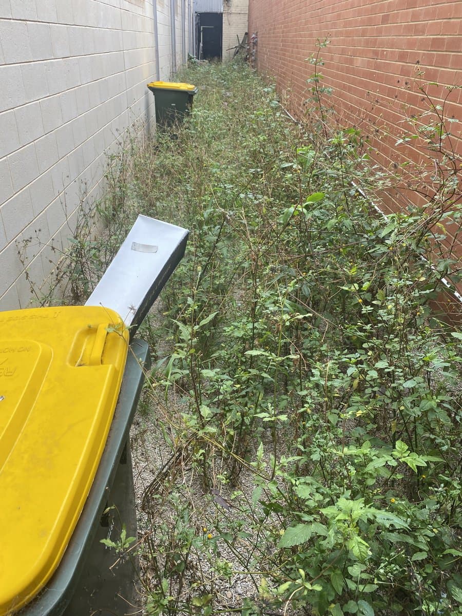 Commercial grounds clearance and vegetation removal by ADs Maintenance Adelaide - Before