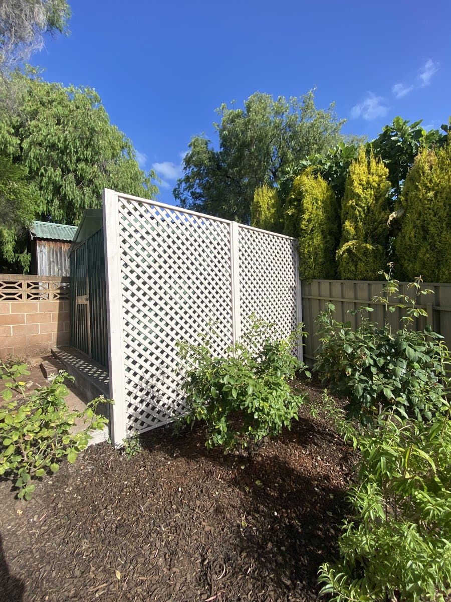 Lattice privacy screen installation in residential courtyard by ADs Maintenance Adelaide